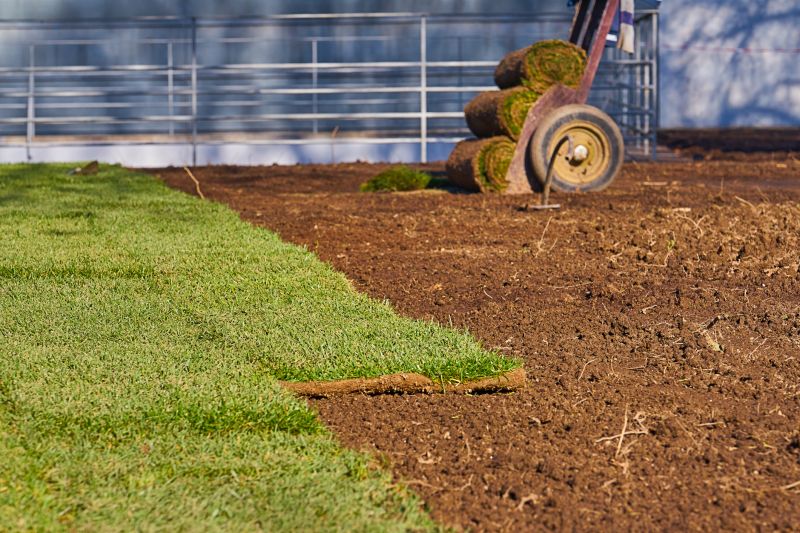 Bluegrass Sod Installation in Honolulu, HI