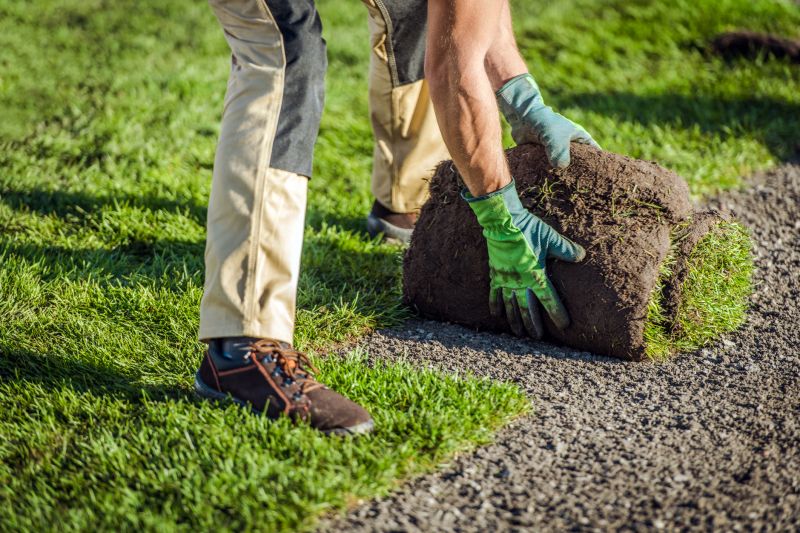 Sod Landscaping