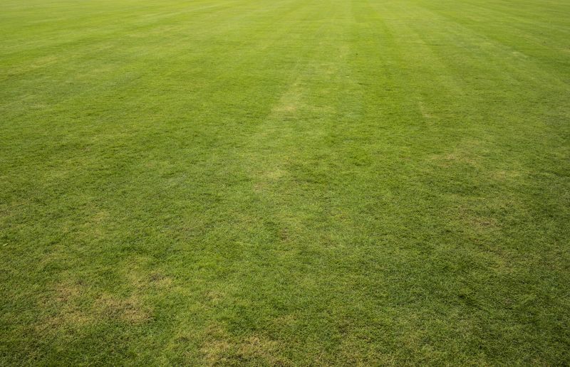 Sod Replacement detail