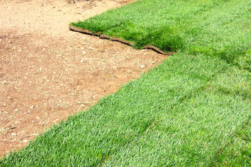 Sod Replacement detail
