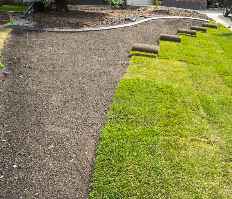 Sod Landscaping