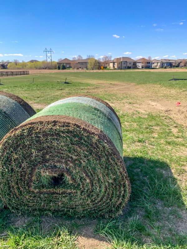 Sod Replacement in Aiken, SC